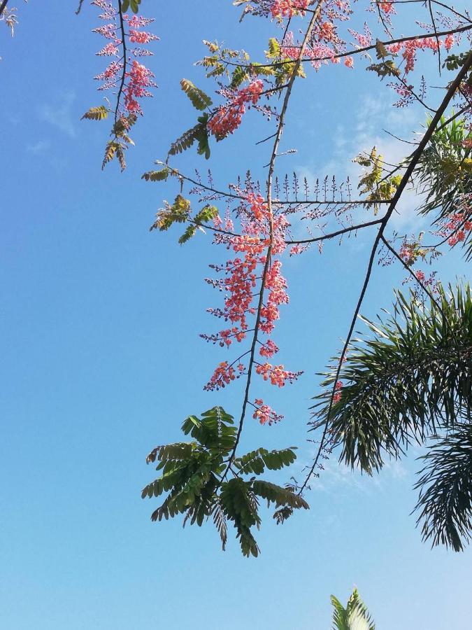 Thanorm Rak Resort เขาค้อ ภายนอก รูปภาพ