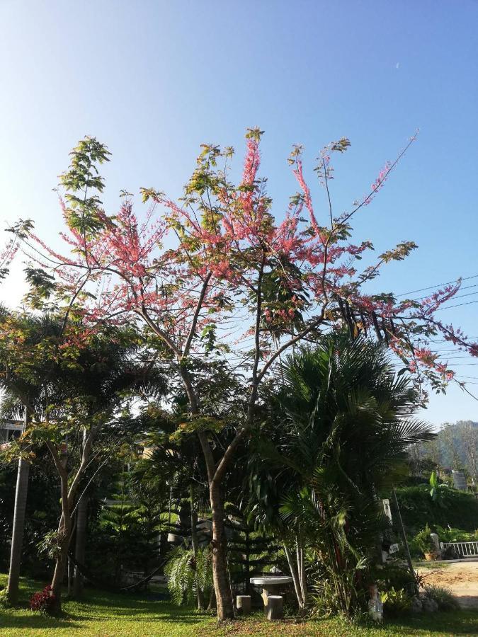 Thanorm Rak Resort เขาค้อ ภายนอก รูปภาพ