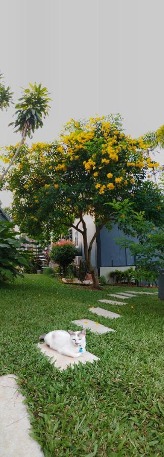 Thanorm Rak Resort เขาค้อ ภายนอก รูปภาพ
