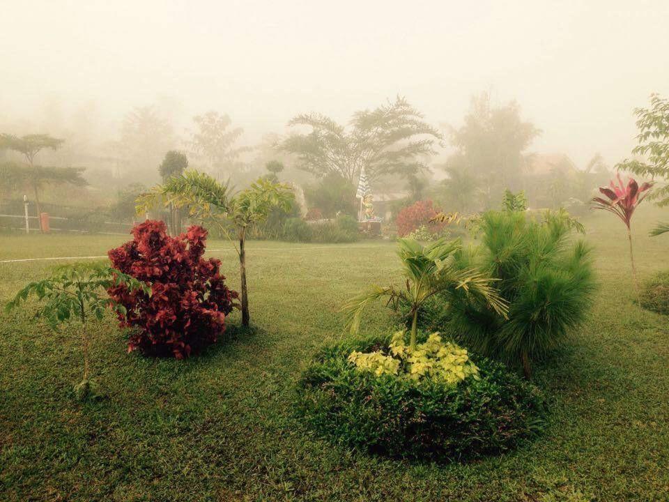 Thanorm Rak Resort เขาค้อ ภายนอก รูปภาพ