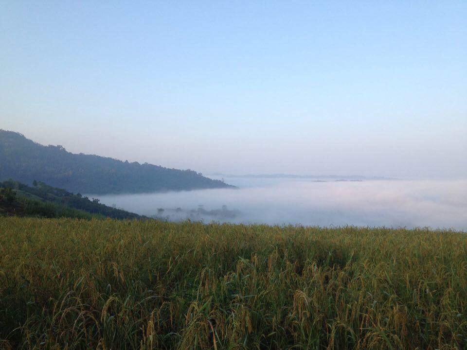 Thanorm Rak Resort เขาค้อ ภายนอก รูปภาพ